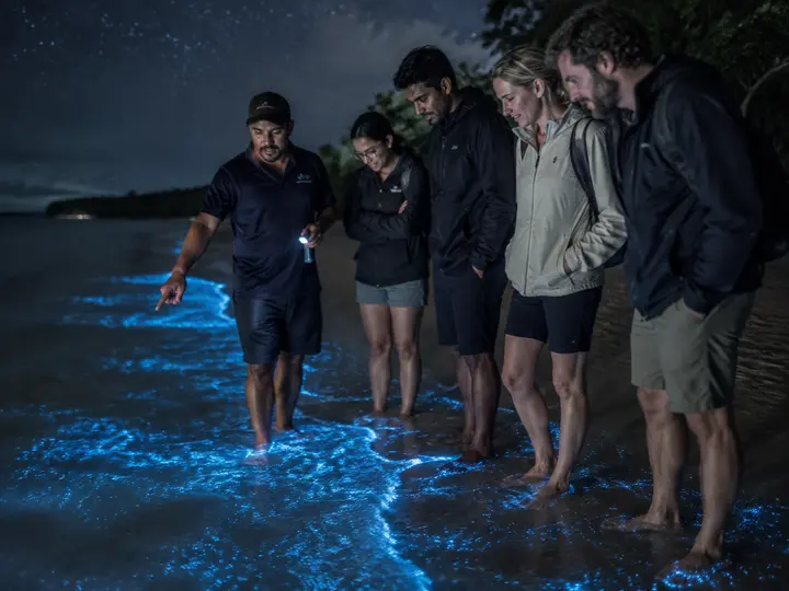Take a Bioluminescence Walk experience