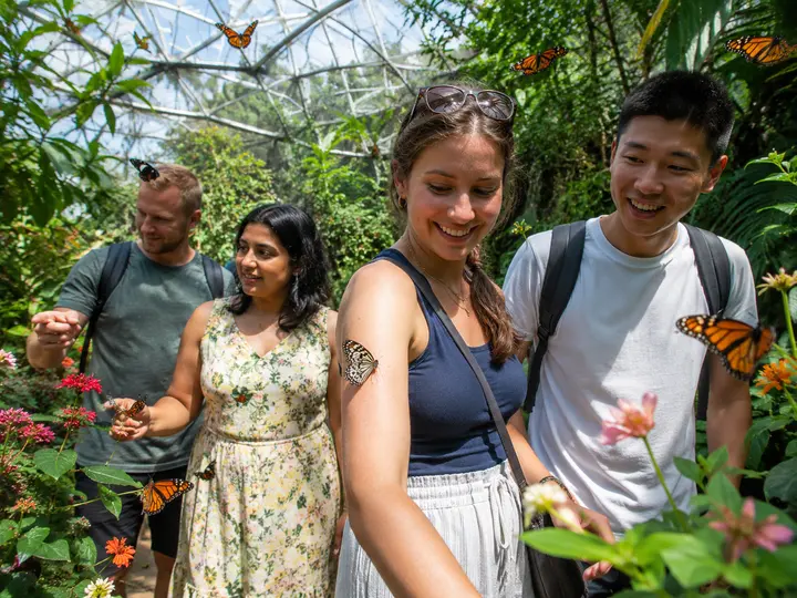 Visit a Butterfly Park experience