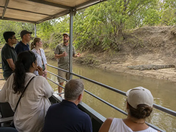 Join a Crocodile Safari or Keeper Talk experience