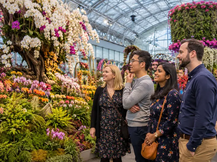 Visit a Flower Show experience
