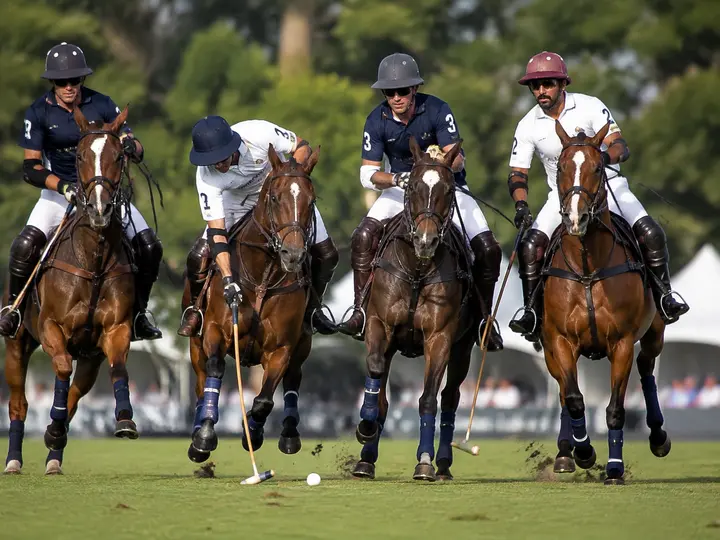 Watch or Play Polo experience