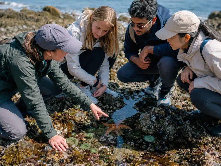 Explore Rocky-Shore Biodiversity experience