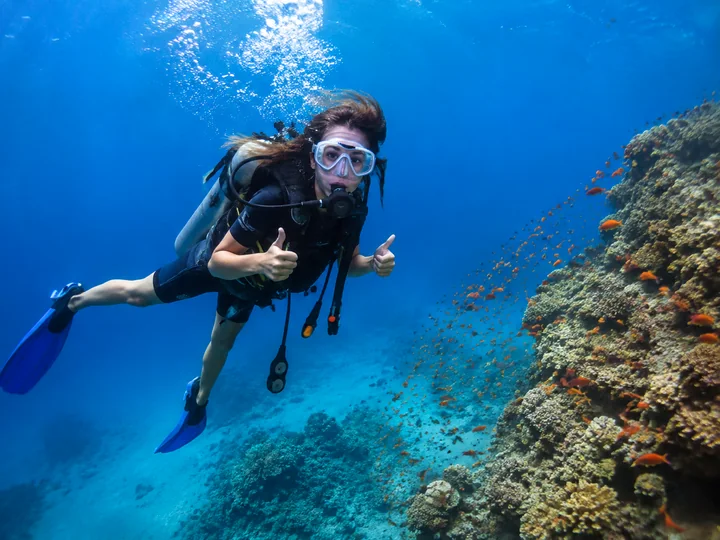 Go Scuba Diving