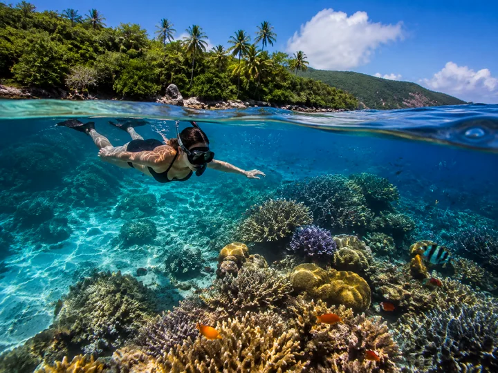 Explore Coral Reefs experience