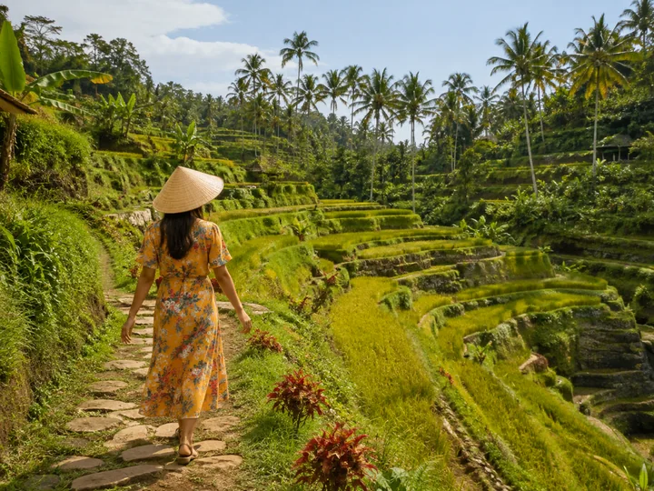 Walk Through Terraced Rice Fields experience