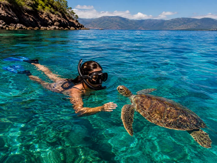 Swim in the Sea experience